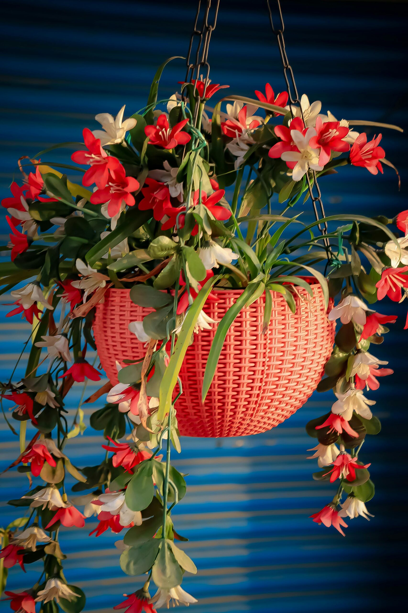 floral hanging baskets